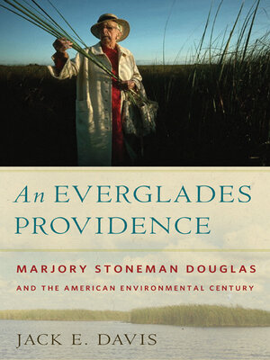 An Everglades Providence - ebook